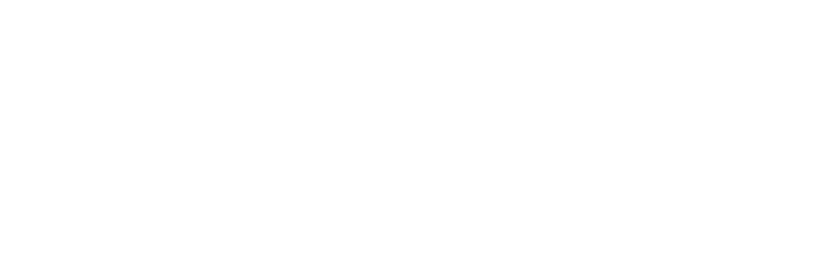 VIP PHONE