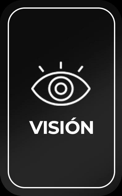 Visión