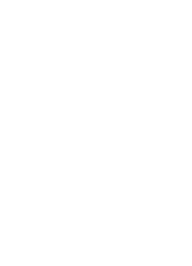 V VIP Phone